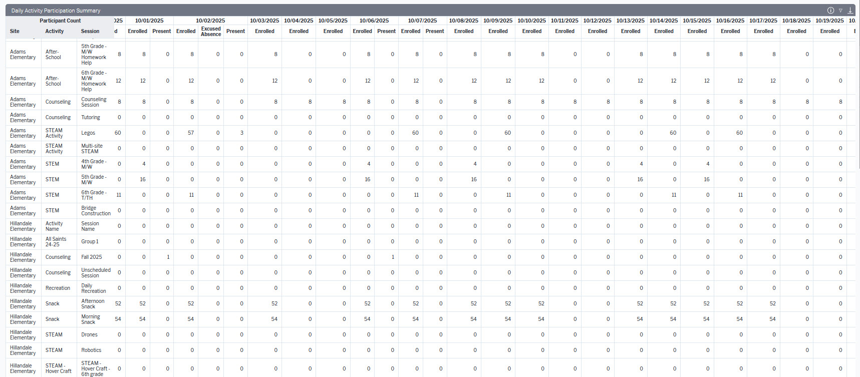 Daily Activity Participation Summary (1).jpg