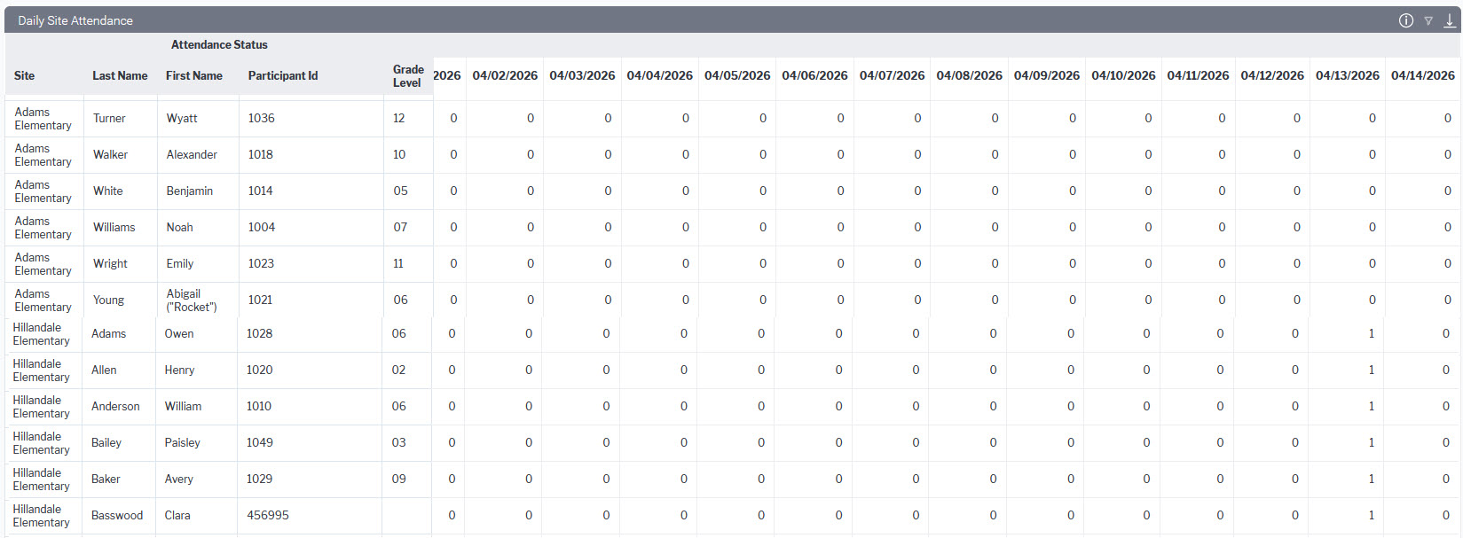 Daily Site Attendance.jpg